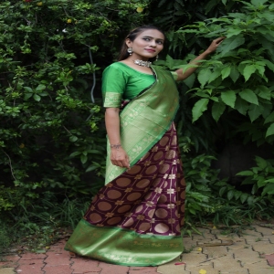 Presenting Enchanting Yet Breathable Organic Kanjivaram Sarees For Intimate And Big Fat Indian Weddings Beautiful Art Silk Jacquard Border Saree