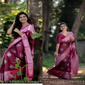 Presenting Enchanting Yet Breathable Organic Kanjivaram Sarees For Intimate And Big Fat Indian Weddings Beautiful Art Silk Jacquard Border Saree