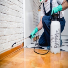 Best Pest Control Services