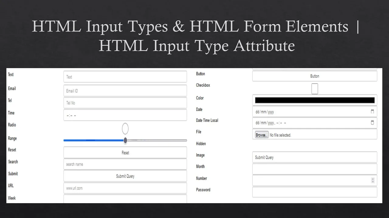 HTML Input Types & HTML Form Elements | HTML Input Type Attribute | HTML